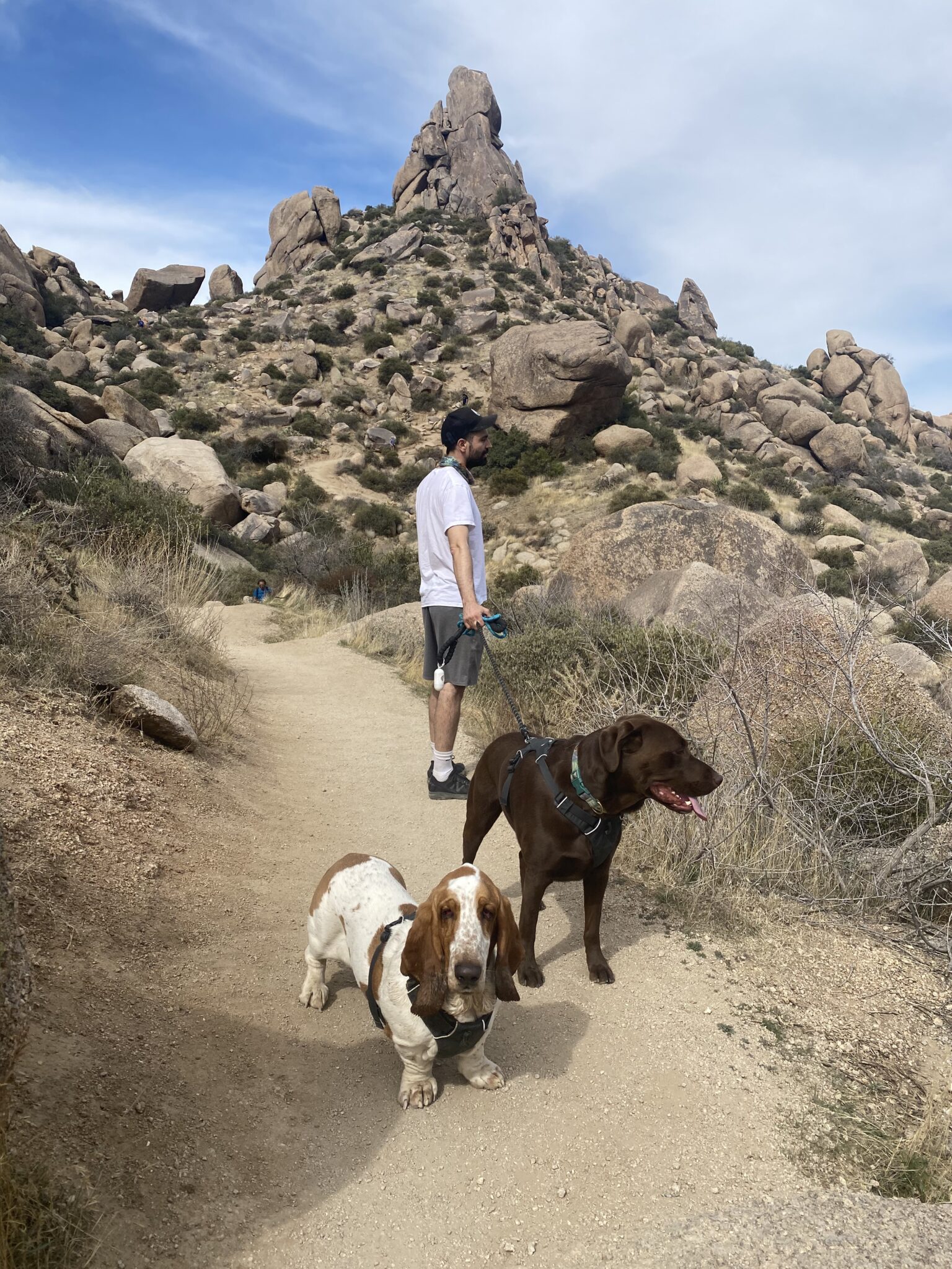 Best Hiking Trails In Scottsdale The Modern Female Hiker