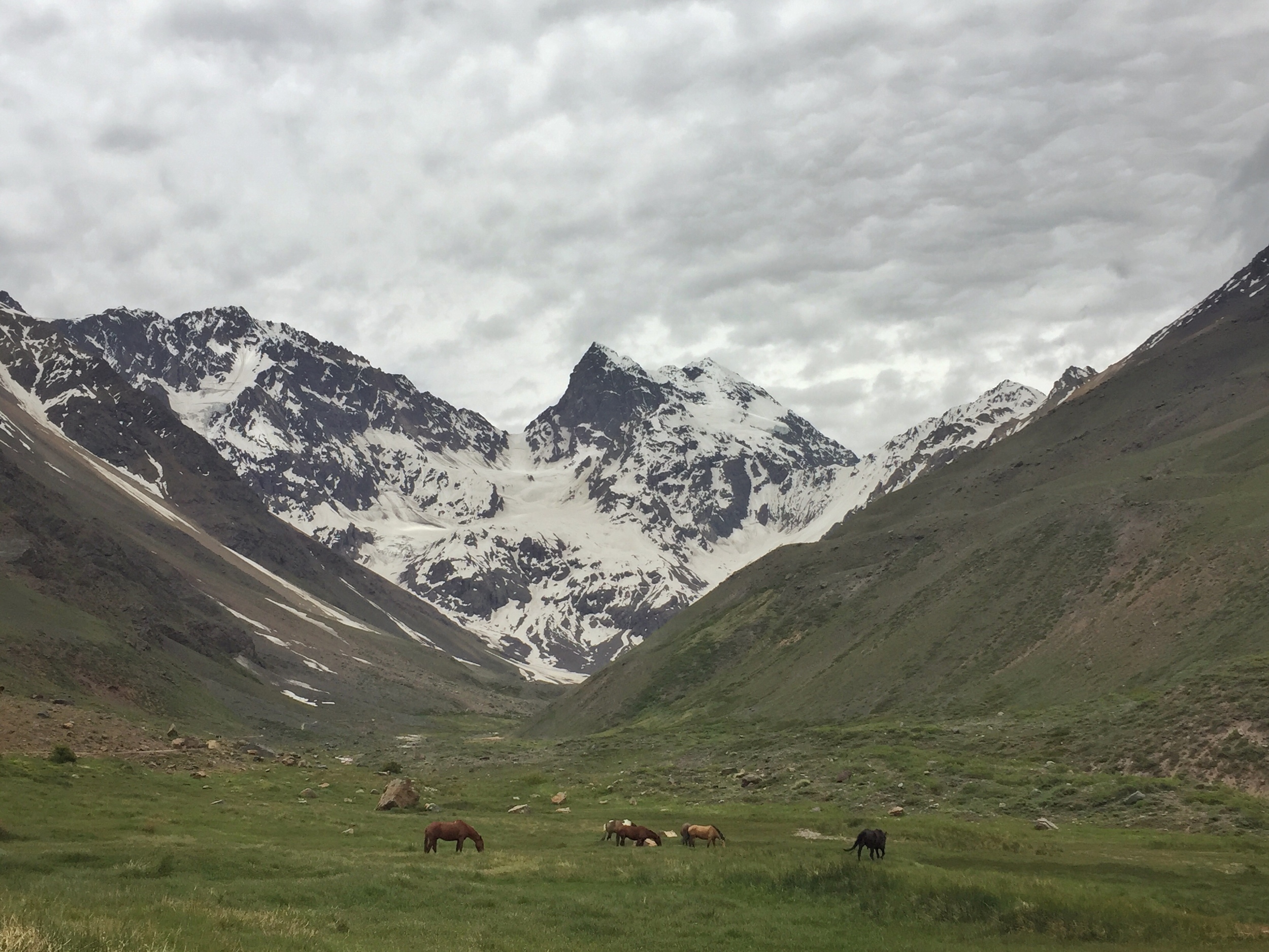 El morado glacier on sale tour