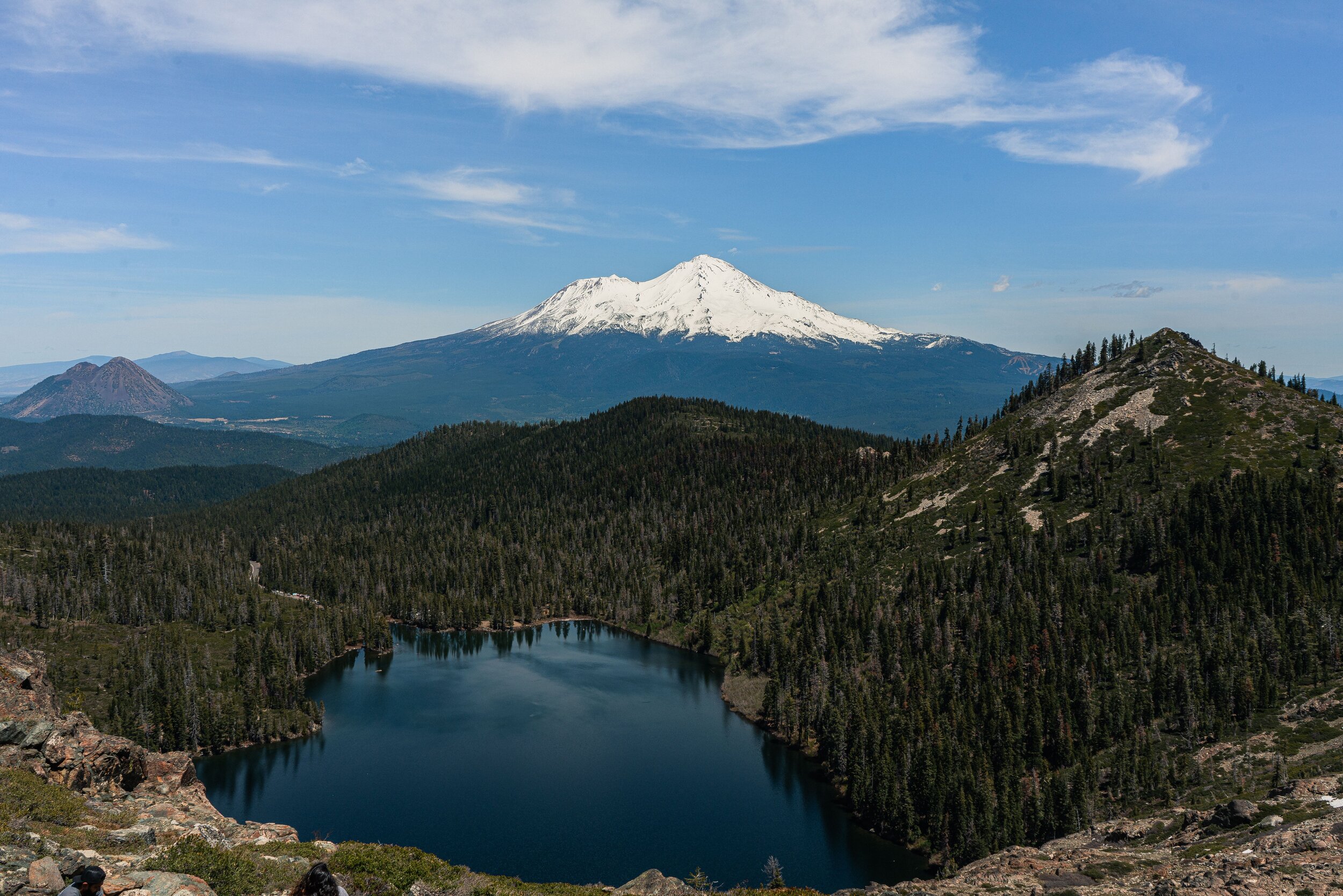 are dogs allowed in mount shasta