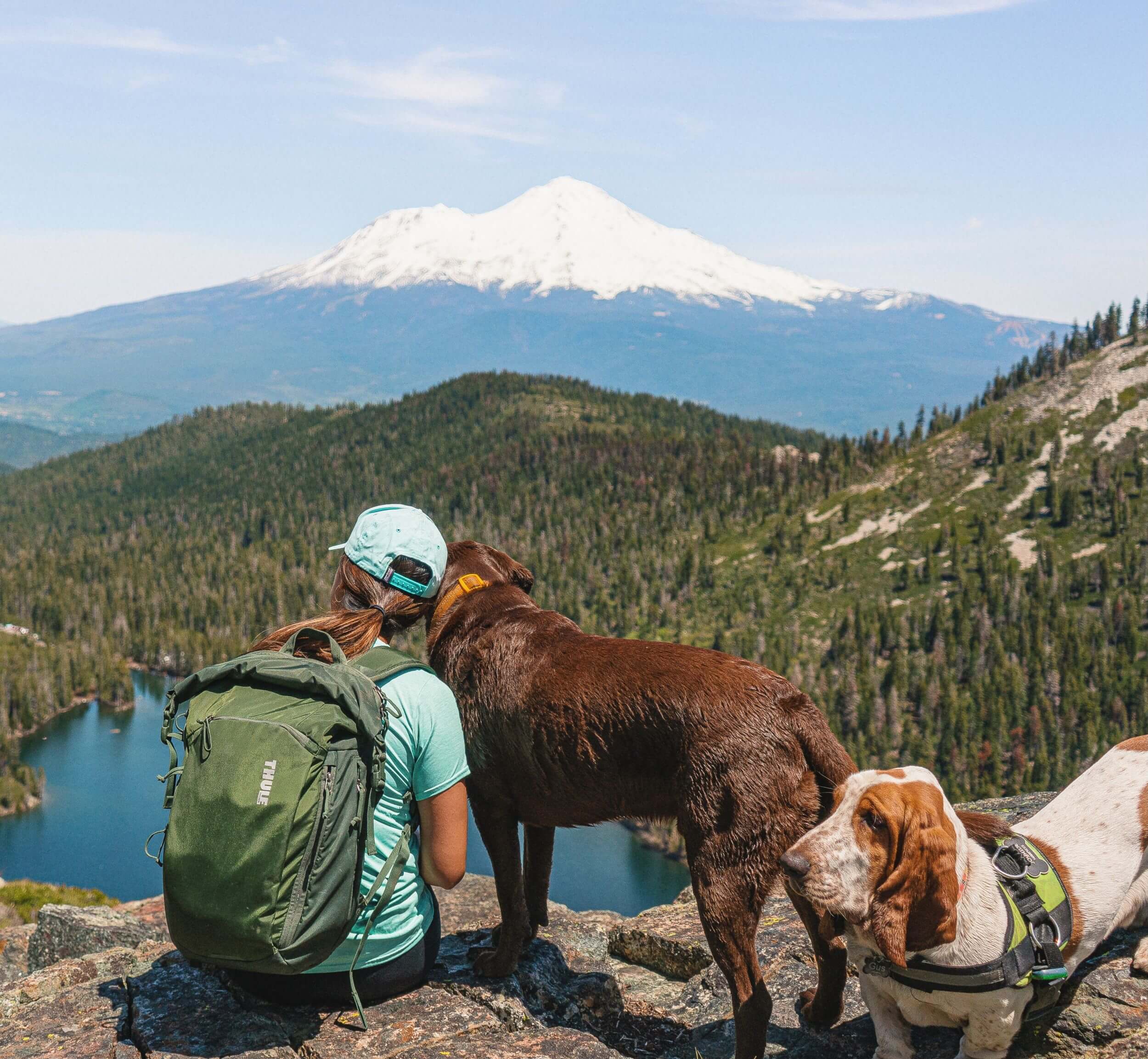 The Modern Female Hiker - Dog Friendly Hiking Blog
