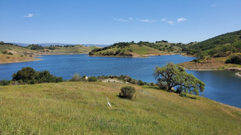 13 Best Hiking Trails in San Jose » The Modern Female Hiker