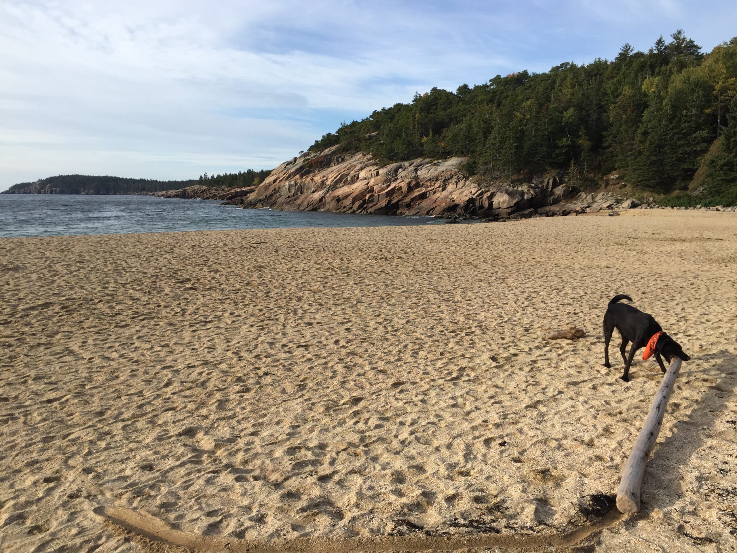 Top Acadia National Park Hikes: Best Trails, Gear Tips, and Must-See Spots for Your Adventure 8