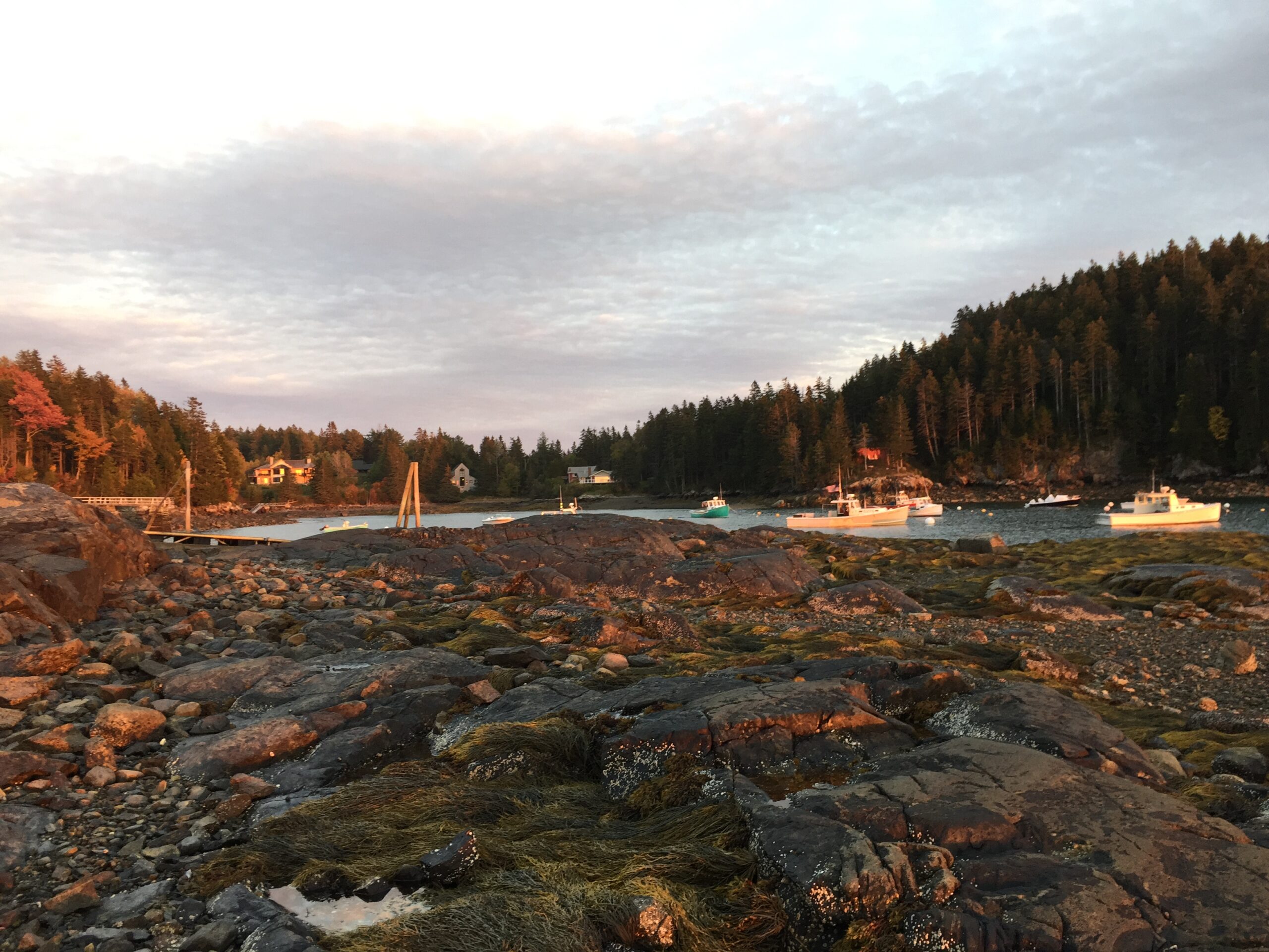 Top Acadia National Park Hikes: Best Trails, Gear Tips, and Must-See Spots for Your Adventure 10