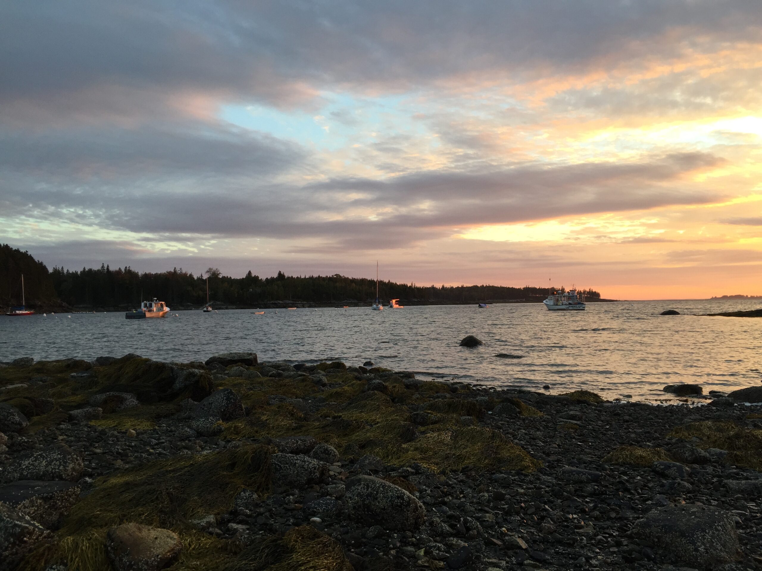 Top Acadia National Park Hikes: Best Trails, Gear Tips, and Must-See Spots for Your Adventure 4