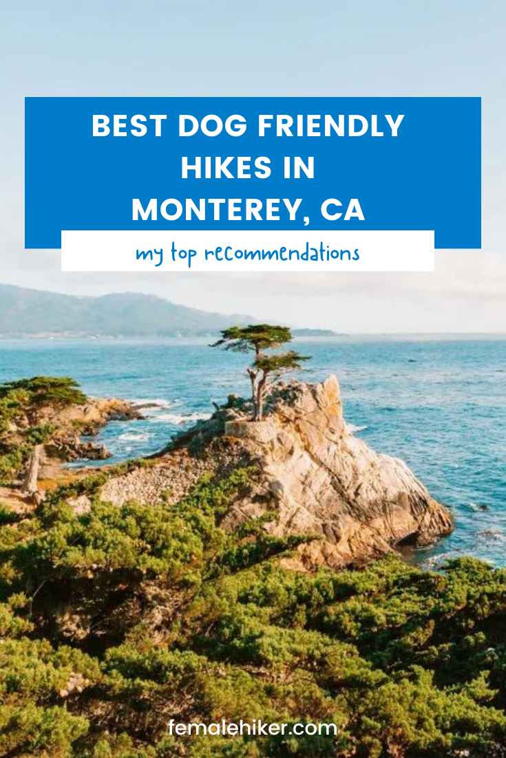 best dog friendly hikes in Monterey California. Carmel, Big Sur