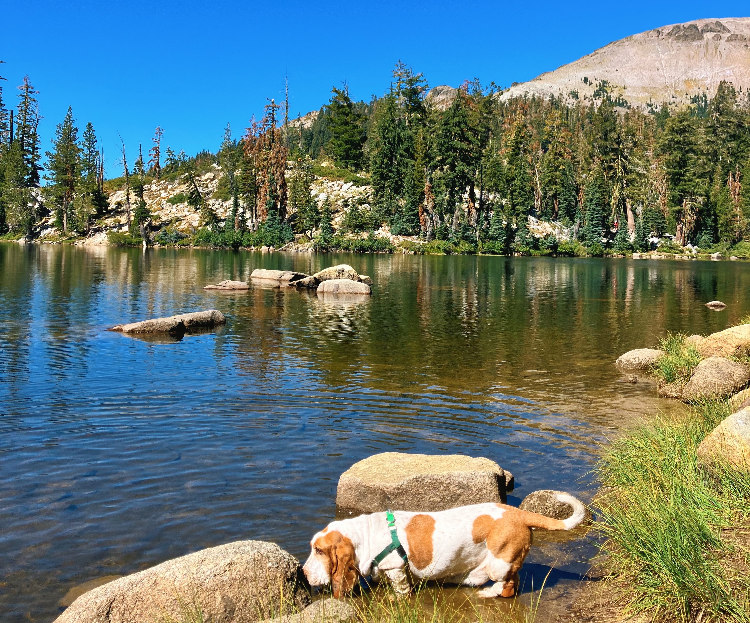 The Ultimate Hiking Guide to Lake Tahoe In The Summer 9