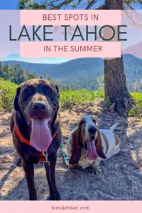 Best Summer Hikes in Lake Tahoe Explore Nature's Hidden Gems